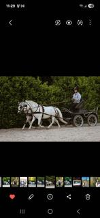 Marathonwagen, Dieren en Toebehoren, Gebruikt, Marathonwagen, Pony