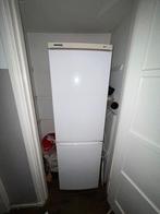 Liebherr koelkast en vriezer, Witgoed en Apparatuur, Vriezers en Diepvrieskisten, Gebruikt, 160 cm of meer, Ophalen, Vrieskast