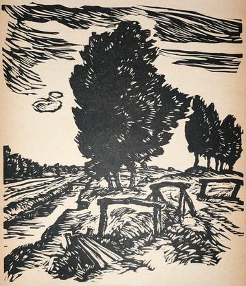 Mooie en betaalbare kunst v/h Grafiekkabinet beschikbaar voor biedingen