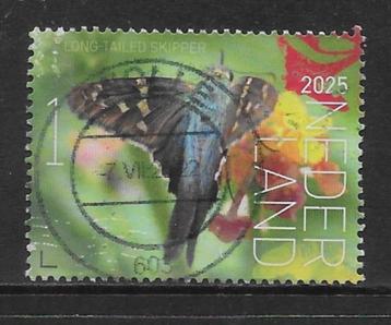 2025, Vlinders S-Eustatius, Long-tailed Skipper[4272](K0810) beschikbaar voor biedingen