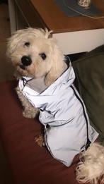 Regenjasje hond, Ophalen of Verzenden, Gebruikt, Hondenjas