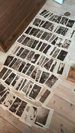 82 uitgeknipte antieke oude plaatje en info over vogels, Ophalen of Verzenden, Voor 1940, Zo goed als nieuw