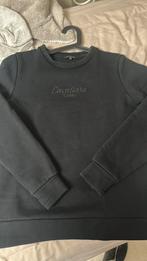 Super leuke zwarte trui van Cavallaro Napoli maat S, Kleding | Dames, Ophalen of Verzenden, Zo goed als nieuw, Maat 38/40 (M)