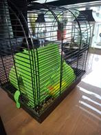 Hamsterkooi met radje, verdieping en trapje, Juli, Meerdere dieren, Hamster