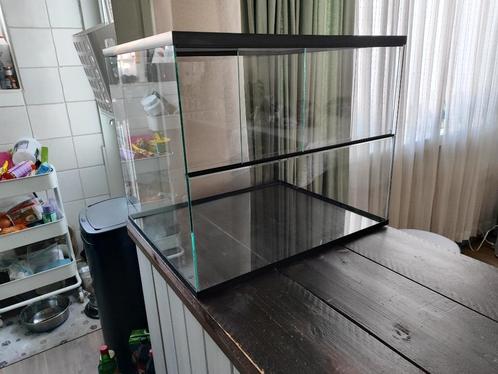 (hamster)Terrarium, Dieren en Toebehoren, Overige Dieren-accessoires, Gebruikt, Ophalen