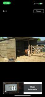Paddock paradise, Dieren en Toebehoren, Stalling en Weidegang