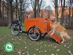 Bijna nieuwe elektrische Babboe Dog Bakfiets met certificaat, Overige merken, Gebruikt, Ophalen of Verzenden, Babboe