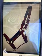 Halster pony QHP rood, Dieren en Toebehoren, Ophalen of Verzenden, Gebruikt, Overige soorten