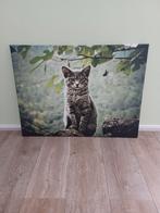 Canvas, schilderij, afm 80x60cm, poes, kat, Ophalen, Zo goed als nieuw, Schilderij, 75 cm of meer