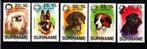 TSS Kavel 260028 Suriname republiek honden fauna PF  minr 73, Postzegels en Munten, Postzegels | Suriname, Ophalen, Postfris
