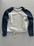 Nora trui maat S, Ophalen of Verzenden, Zo goed als nieuw, Maat 36 (S), Grijs