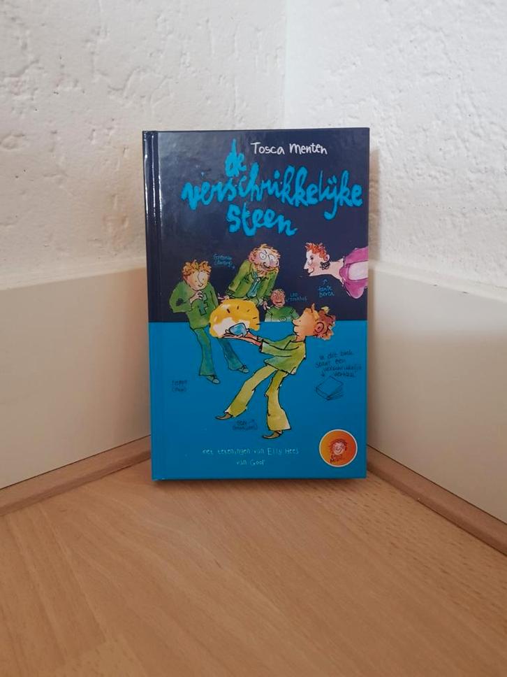 De verschrikkelijk steen van tosca Menten, Boeken, Kinderboeken | Jeugd | onder 10 jaar, Zo goed als nieuw, Fictie algemeen, Ophalen of Verzenden
