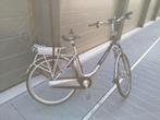 Trenergy elektrische fiets. Opknapper werkt wel, Fietsen en Brommers, Gebruikt, 47 tot 51 cm, 30 tot 50 km per accu, Ophalen