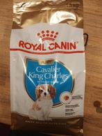 Puppy voer Royal Canin Cavalier King Charles spaniel, Dieren en Toebehoren, Ophalen, Hond