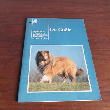 De Collie - Rassen gids beschikbaar voor biedingen