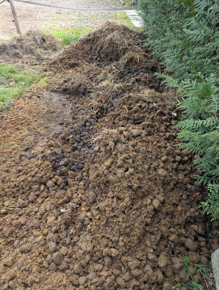 paardenmest compost mest, Tuin en Terras, Aarde en Mest, Compost, Ophalen