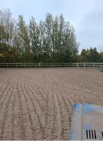 Stalling Nog 1 plekje vrij, Dieren en Toebehoren, Stalling en Weidegang