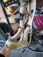 Bond halster + touw - maat full, Dieren en Toebehoren, Ophalen of Verzenden, Zo goed als nieuw