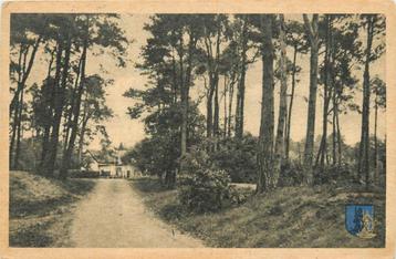 (387-154-027) Nunspeet Groeten uit beschikbaar voor biedingen