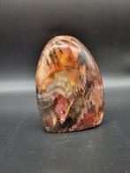 Versteend hout fossiel Madagaskar 1,292 kg, Ophalen of Verzenden, Fossiel