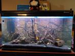 Complete aquarium met led, Ophalen, Gebruikt, Gevuld zoetwateraquarium