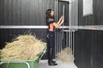 Slowfeeder / Hooiruif hoekmodel, Ophalen, Nieuw, Overige soorten