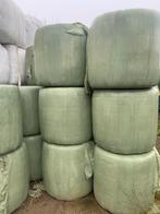 Midibalen  hooi, Dieren en Toebehoren, Dierenvoeding, Ophalen of Verzenden, Vee