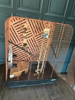 Mooie complete vogelkooi met nieuwe accessoires, Dieren en Toebehoren, Vogels | Hokken en Kooien, Ophalen, Hout, Vogelkooi