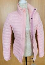 Airforce jas nieuw maat S [v], Ophalen of Verzenden, Nieuw, Maat 36 (S), Roze