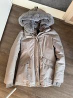 Grijze Airforce winterjas maat S teddy capuchon, Kleding | Dames, Airforce, Ophalen of Verzenden, Zo goed als nieuw, Maat 36 (S)
