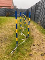Agility Slalom / Behendigheid Paaltjes, Dieren en Toebehoren, Ophalen, Zo goed als nieuw