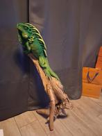 Groen leguaan beeld op hout 1 meter hoog, Ophalen of Verzenden
