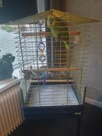 Papegaaien kooi, Dieren en Toebehoren, Vogels | Hokken en Kooien, Ophalen, Zo goed als nieuw, Metaal, Vogelkooi