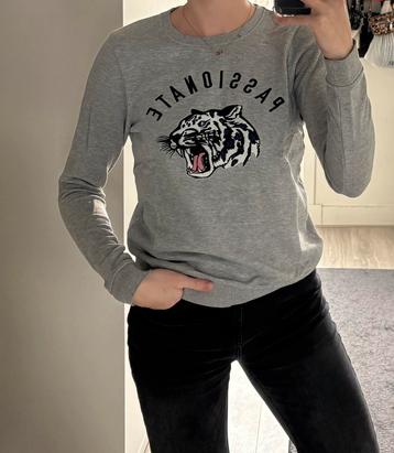Costes sweater maat S beschikbaar voor biedingen