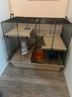 Hamster kooi met veel toebehoren, Minder dan 60 cm, Kooi, Ophalen of Verzenden, Zo goed als nieuw
