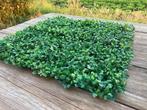 Nieuw: 30 st. | Kunstplanten | Buxus | 25x25cm | Panelen, Ophalen of Verzenden, Nieuw, Binnen