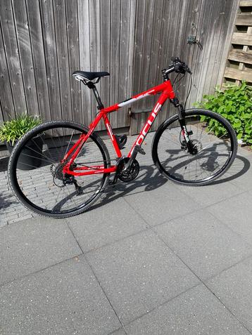 FOCUS Lost Lagoon mountainbike fiets  beschikbaar voor biedingen