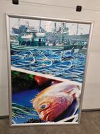 mega grote kliklijst, Ophalen, Zo goed als nieuw, 100 tot 125 cm, 75 cm of meer