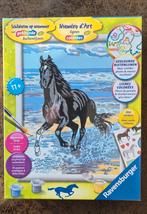 Ravensburger schilderen op nummer., Hobby en Vrije tijd, Ophalen of Verzenden, Nieuw, Schilderen op nummer