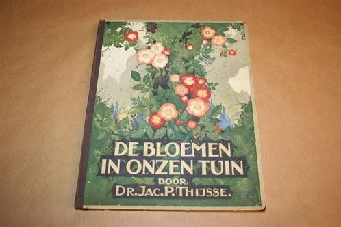 De bloemen in onzen tuin 1926 Thijsse - Compleet Album, Boeken, Prentenboeken en Plaatjesalbums, Gelezen, Ophalen of Verzenden