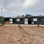 Stalling paard/ pony, Dieren en Toebehoren, Stalling en Weidegang, Weidegang, 1 paard of pony