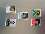 Voetbal plaatjes WK 2010 Panini, Ophalen of Verzenden, Zo goed als nieuw, Buitenlandse clubs, Poster, Plaatje of Sticker