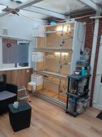 Broedkooi/ kweekkast / knaagdieren villa, Dieren en Toebehoren, Ophalen, Zo goed als nieuw, Overige materialen, Broedkooi of Kweekkooi
