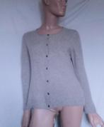 IN LINEA CASHMERE Vest , Maat 40, Verzenden, Zo goed als nieuw, Maat 38/40 (M), Grijs