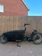 Urban Arrow Family bakfiets 2024 (2901km) 400wh - NIEUWSTAAT, Elektrisch, Zo goed als nieuw, 2 kinderen, Ophalen