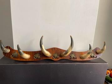 Wandkapstok met Hoorns beschikbaar voor biedingen