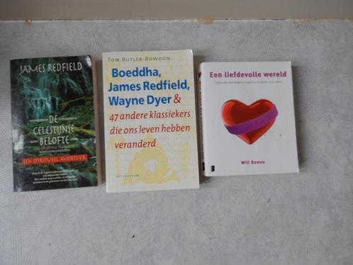 Boeddha Redfield Dyer &47 Andere Klassiekers Die Ons Leven, Boeken, Esoterie en Spiritualiteit, Nieuw, Instructieboek, Spiritualiteit algemeen