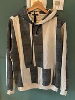 10 days hoodie, Kleding | Dames, 10 days, Grijs, Maat 38/40 (M), Ophalen of Verzenden