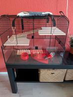 Zeer nette hamsterkooi met alle toebehoren, Dieren en Toebehoren, Knaagdieren en Konijnen | Hokken en Kooien, Minder dan 60 cm