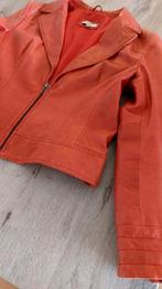 Prachtig rood jasje van Anna maat 44, Kleding | Dames, Ophalen of Verzenden, Zo goed als nieuw, Maat 42/44 (L), Rood